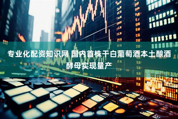 专业化配资知识网 国内首株干白葡萄酒本土酿酒酵母实现量产