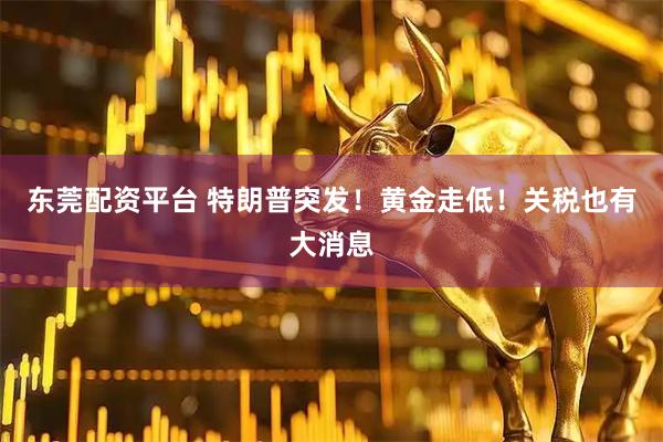 东莞配资平台 特朗普突发！黄金走低！关税也有大消息