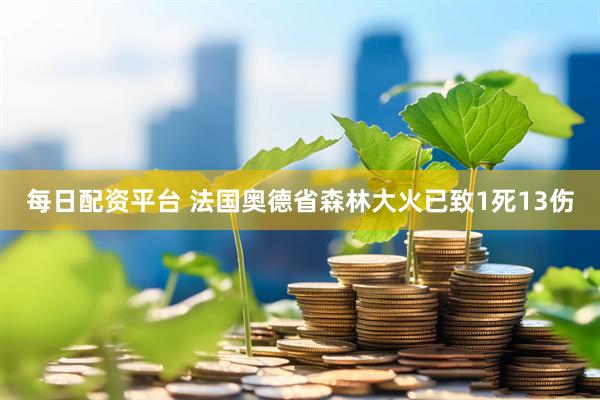 每日配资平台 法国奥德省森林大火已致1死13伤