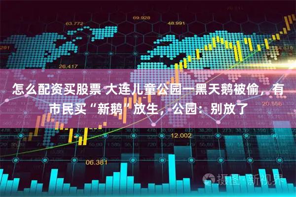 怎么配资买股票 大连儿童公园一黑天鹅被偷，有市民买“新鹅”放生，公园：别放了