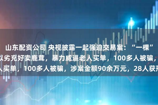 山东配资公司 央视披露一起强迫交易案：“一棵”变“一克”，犯罪团伙以劣充好卖鹿茸，暴力威逼老人买单，100多人被骗，涉案金额90余万元，28人获刑